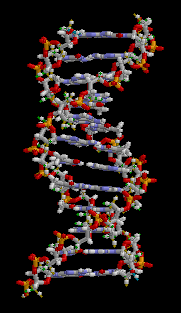 Molécule d'ADN, une générescence