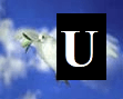 U U_Scien