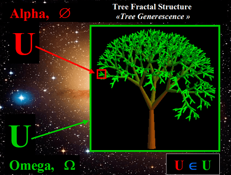 La structure fractale de l'arbre raconte l'Univers-Dieu