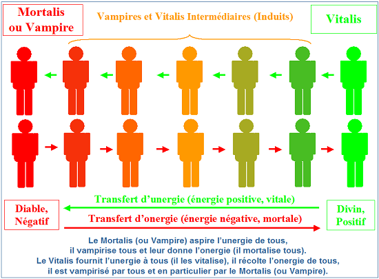 Vampirisme énergétique, Vitalis et Mortalis