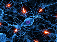 Réseau Neurones