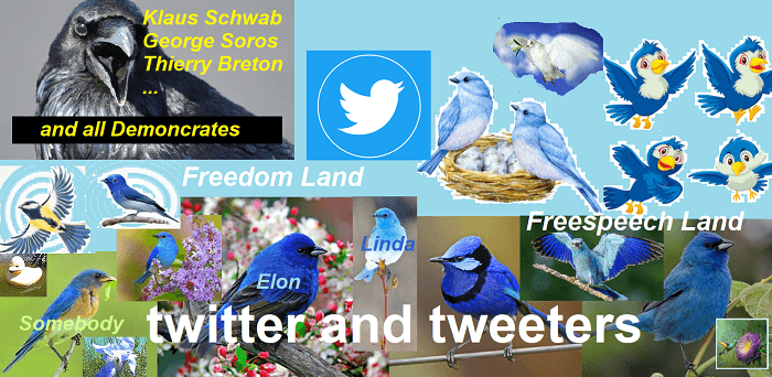 Twitter et tweeters